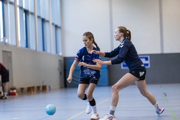 Bild 233 - wBJ HTS/BW96 Handball - Niendorfer TSV : Ergebnis: 27:27